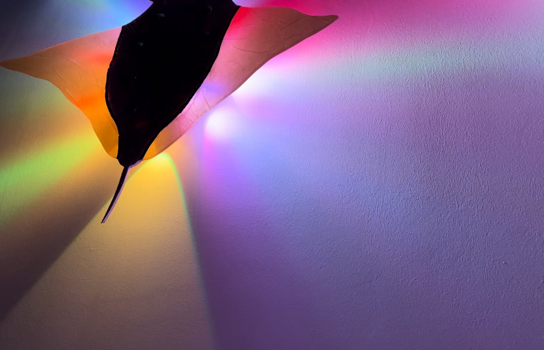 Lampada per la cromoterapia